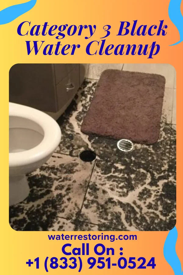 Category 3 Black Water Cleanup in Hamilton Square, NJ