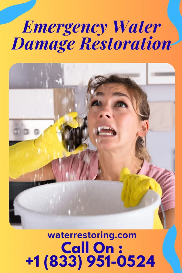 Emergency Water Damage Restoration in Hamilton Square, NJ