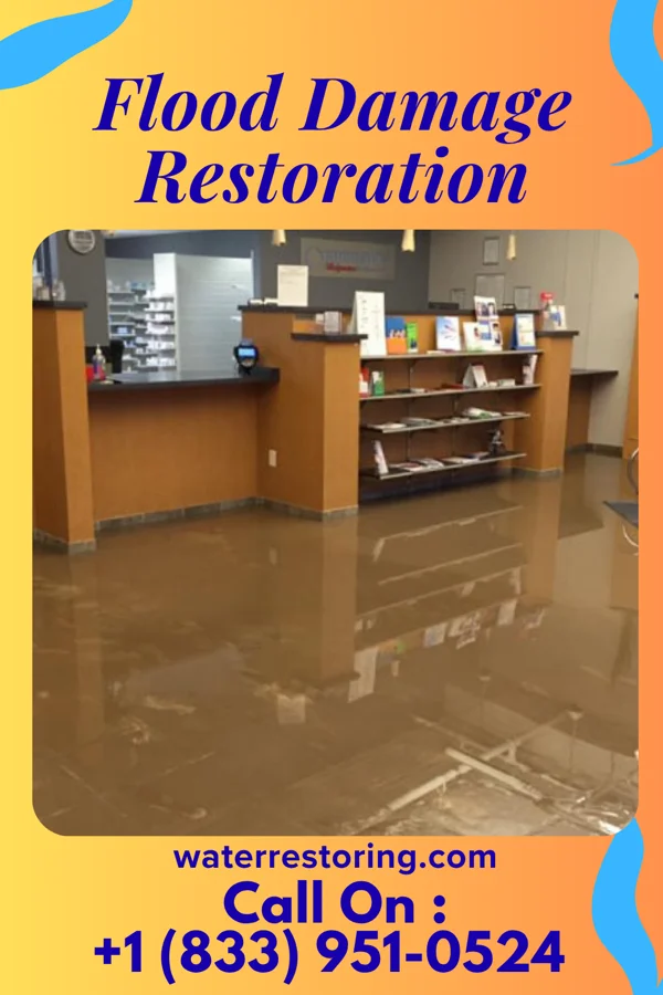 Flood Damage Restoration in Hamilton Square, NJ