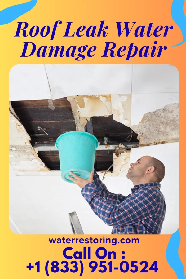 Roof Leak Water Damage Repair in Hamilton Square, NJ