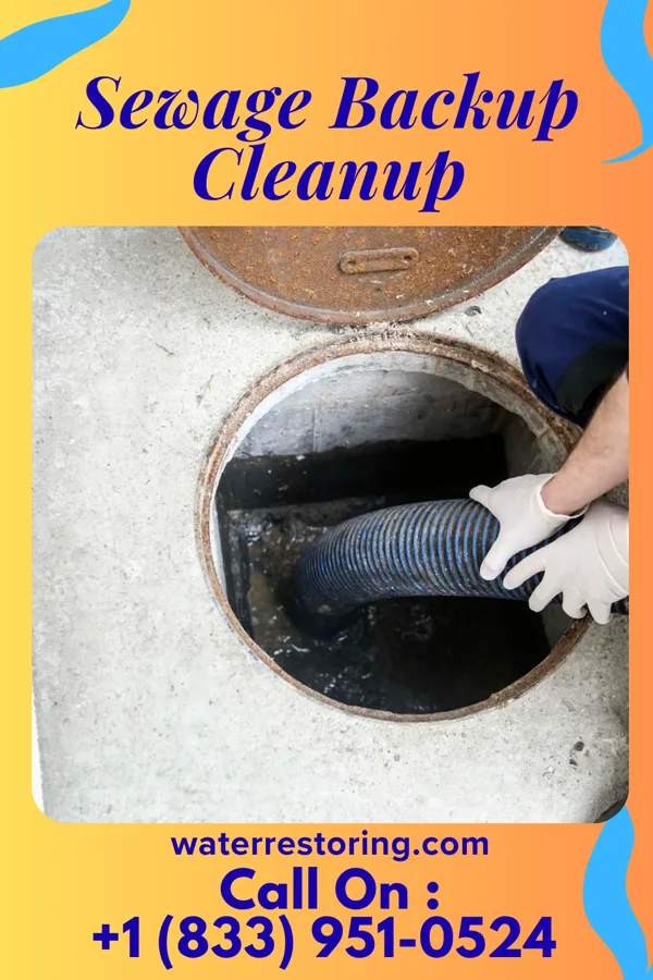 Sewage Backup Cleanup in Hamilton Square, NJ